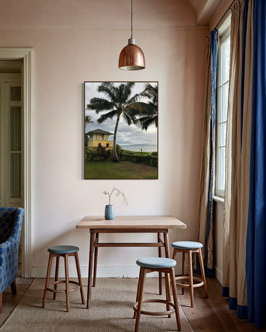 Kihei Fisherman Palm View