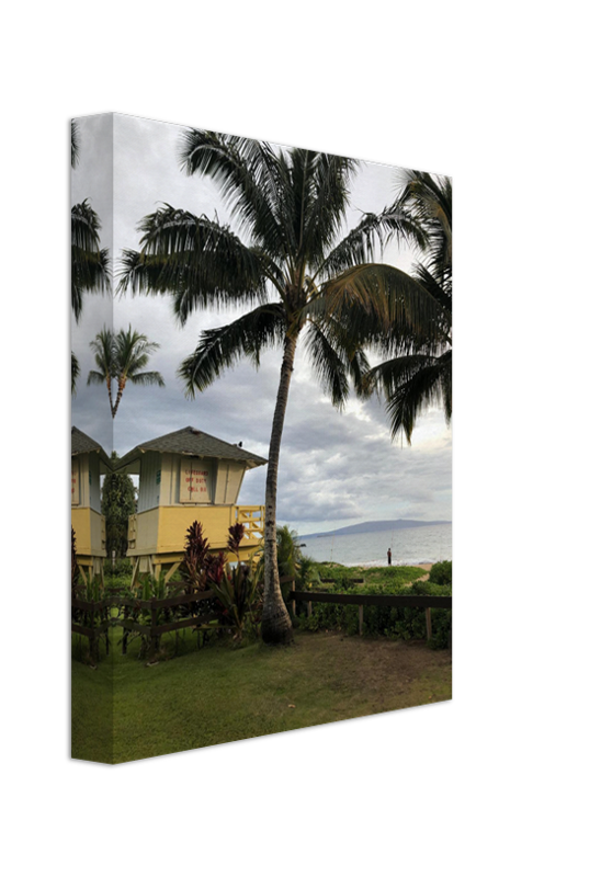 キヘイ フィッシャーマン パーム ビュー