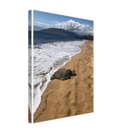 bb0cbc12-f434-429b-ba05-a656d01515aa