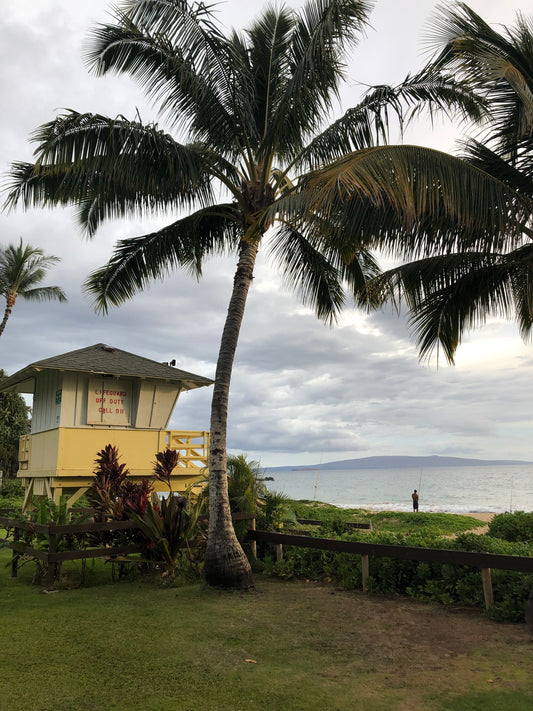 Kihei Fisherman Palm View