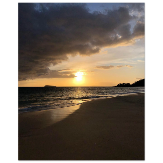 d94ffa2e-3dad-45eb-a006-18318d3b994f